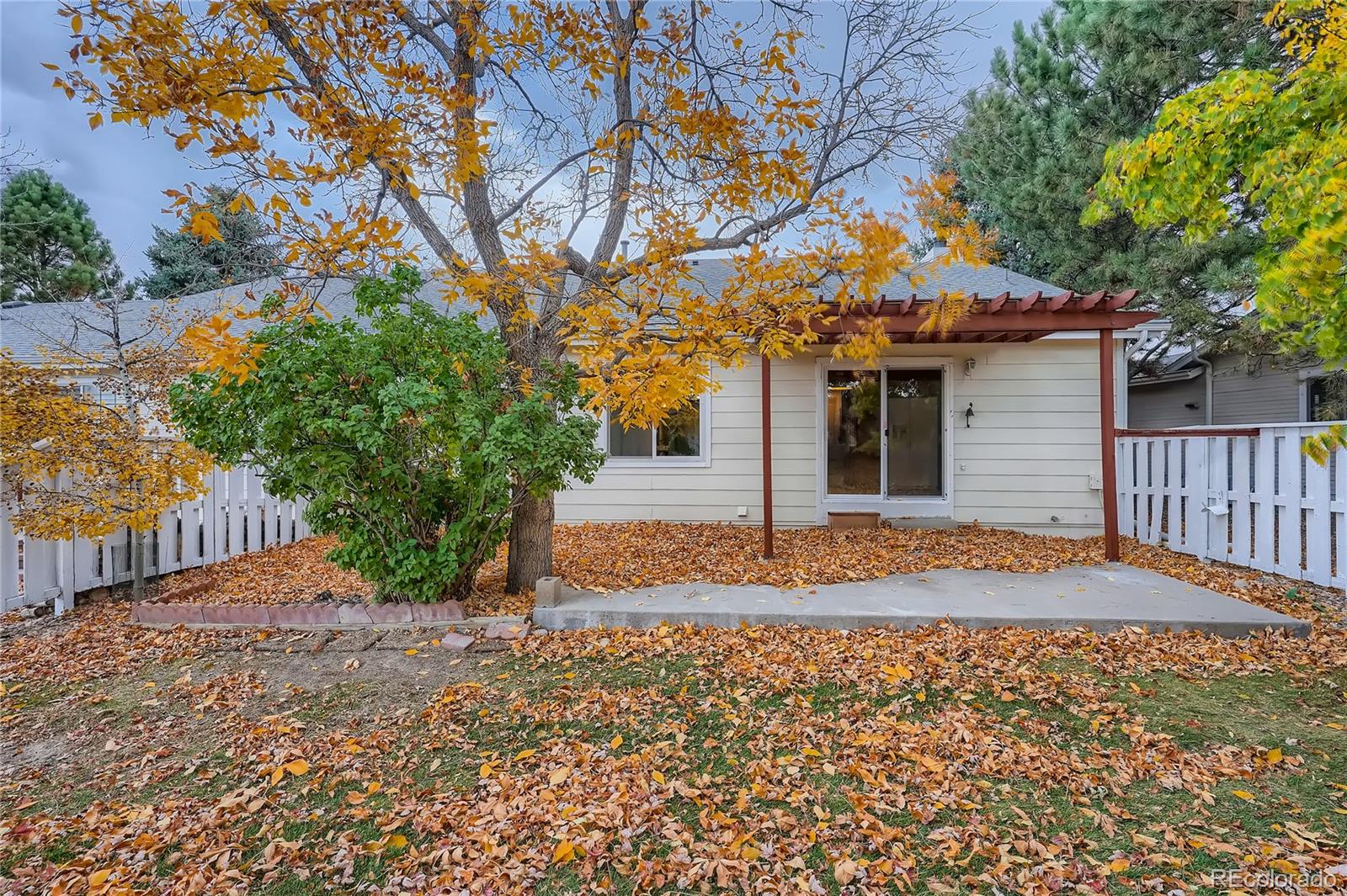 6 Shetland Court Highlands Ranch, CO 80130 - Photo 33 of 33 a house with a tree in front of it