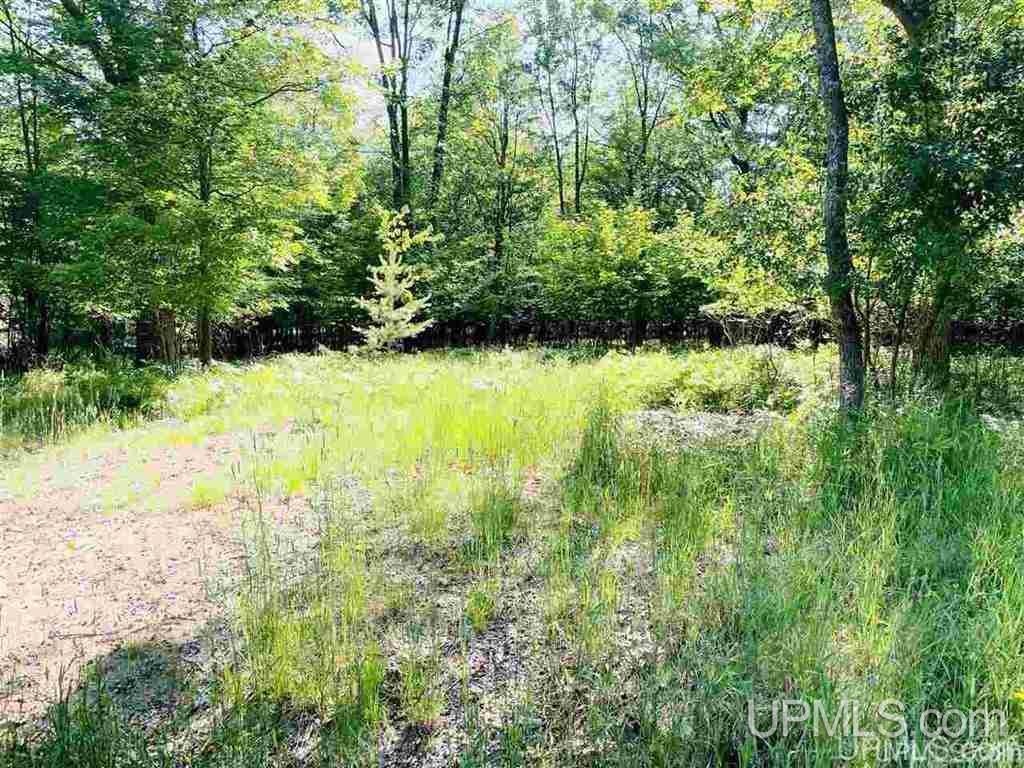 57 Tipperary Road Gladstone, MI 49837 - Photo 13 of 20