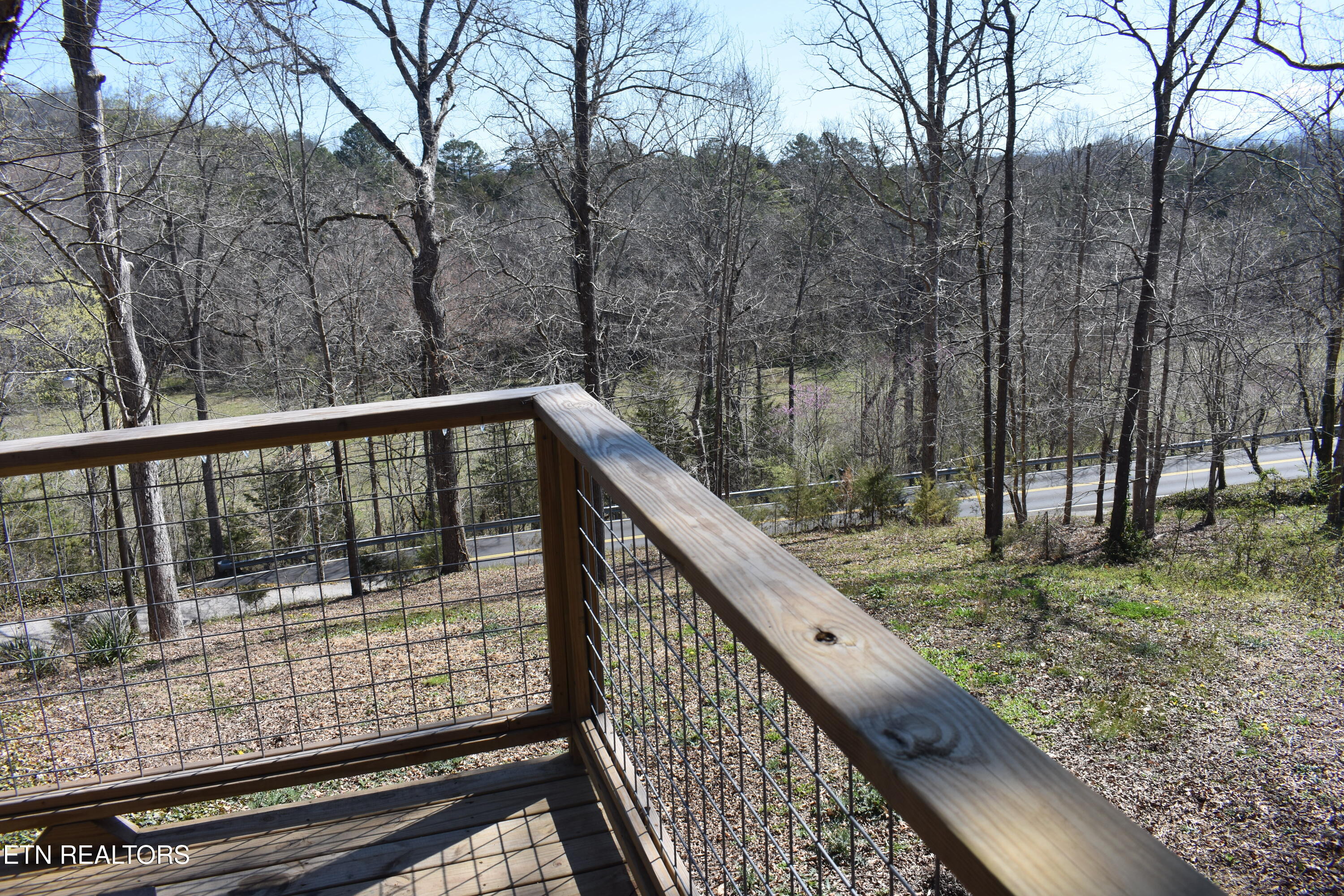 298 Lane Hollow Road Sevierville, TN 37876 - Photo 16 of 31 DSC_0038