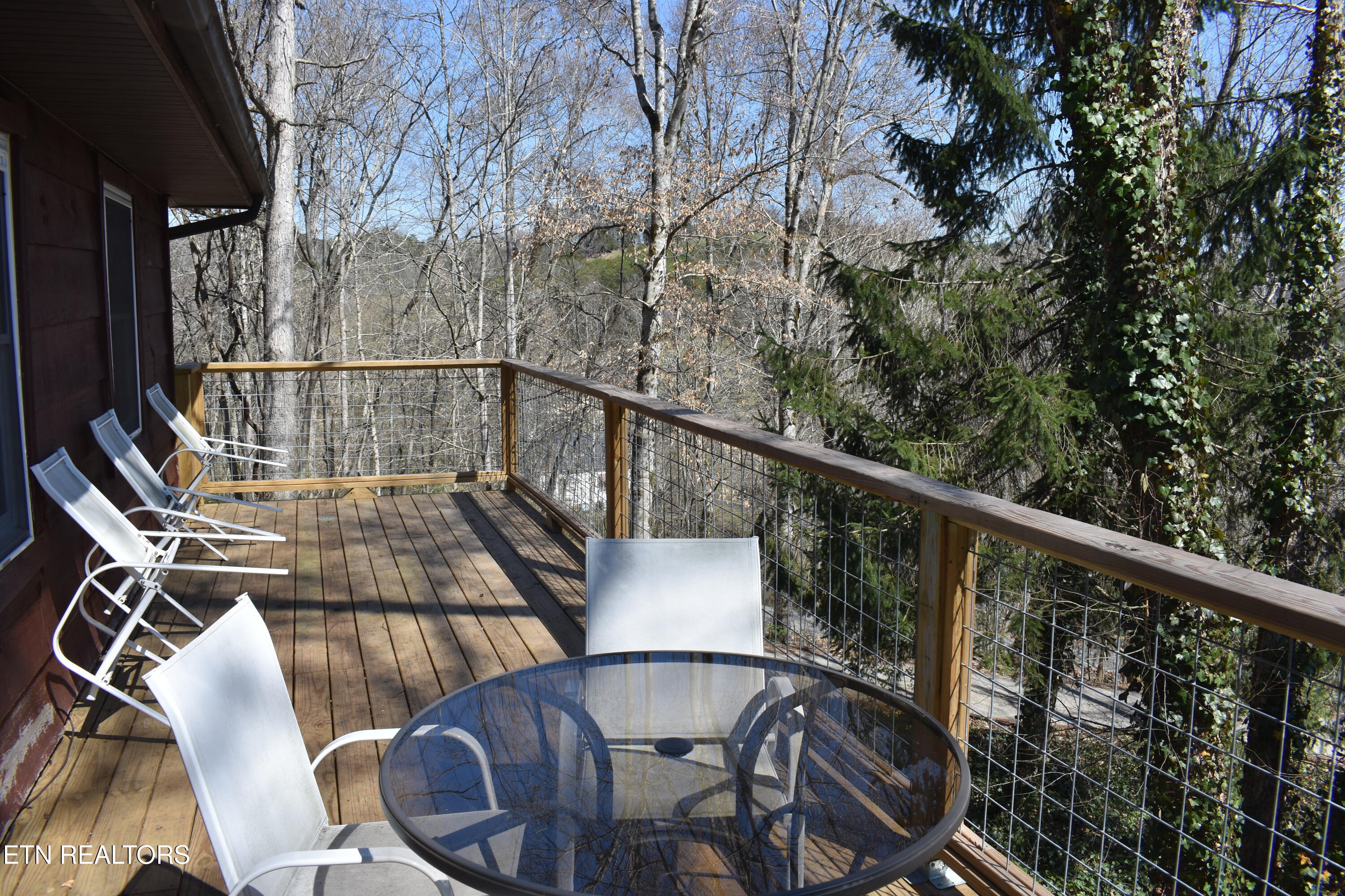 298 Lane Hollow Road Sevierville, TN 37876 - Photo 17 of 31 DSC_0040