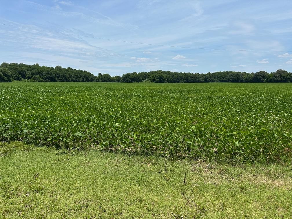 4996 Arch Thompson Road Union City, TN 38261 - Photo 13 of 13