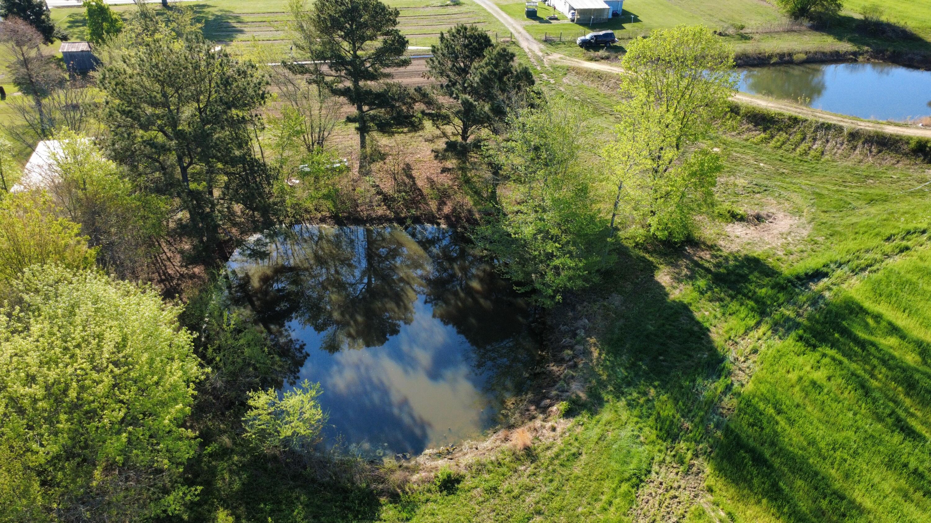 1107 Summer City Road Pikeville, TN 37367 - Photo 9 of 29 dji_fly_20260411_093504_70_1775914515341