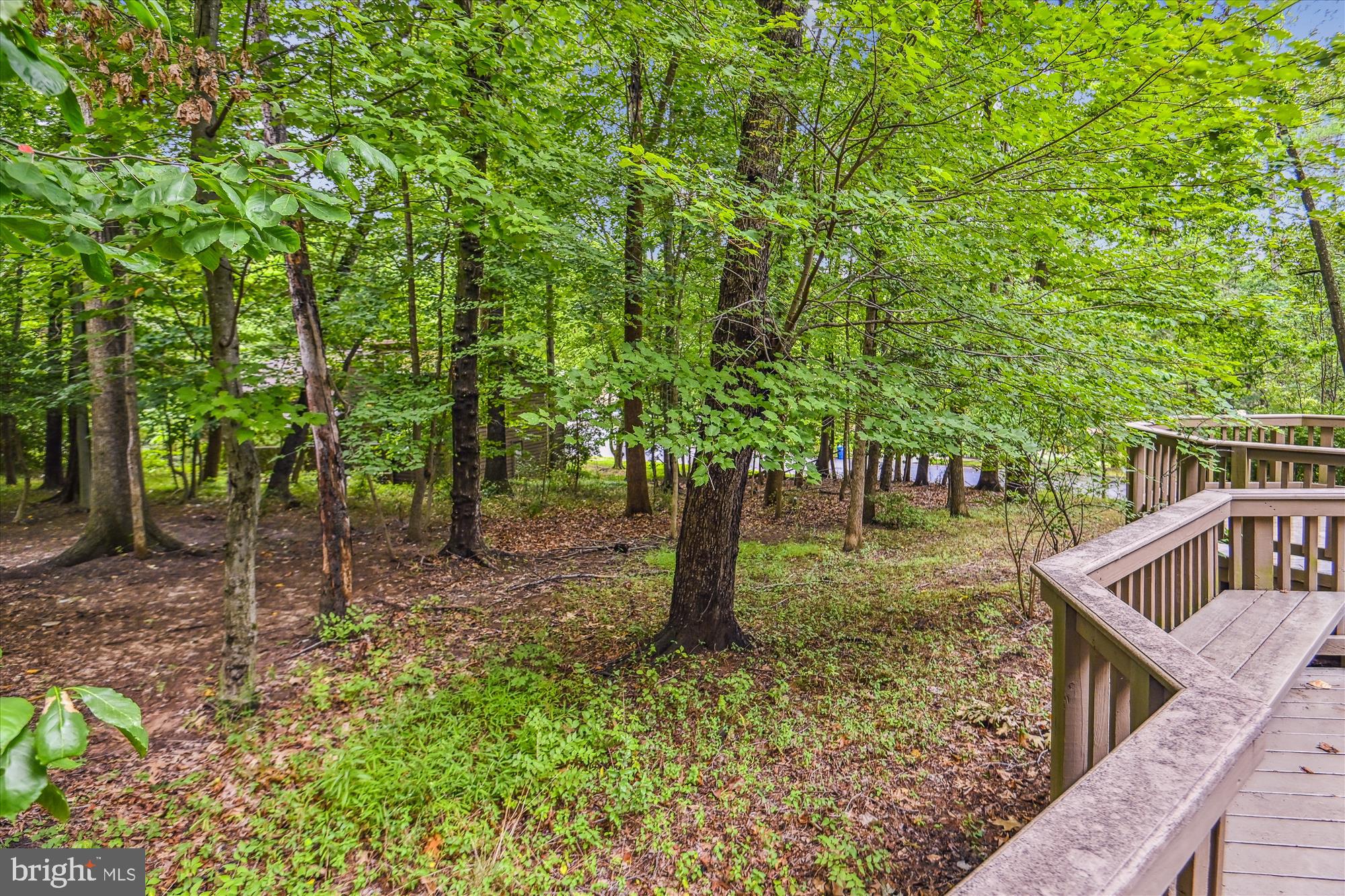 1411 Wolftrap Run Road Vienna, VA 22182 - Photo 13 of 48 Views of nature from every angle