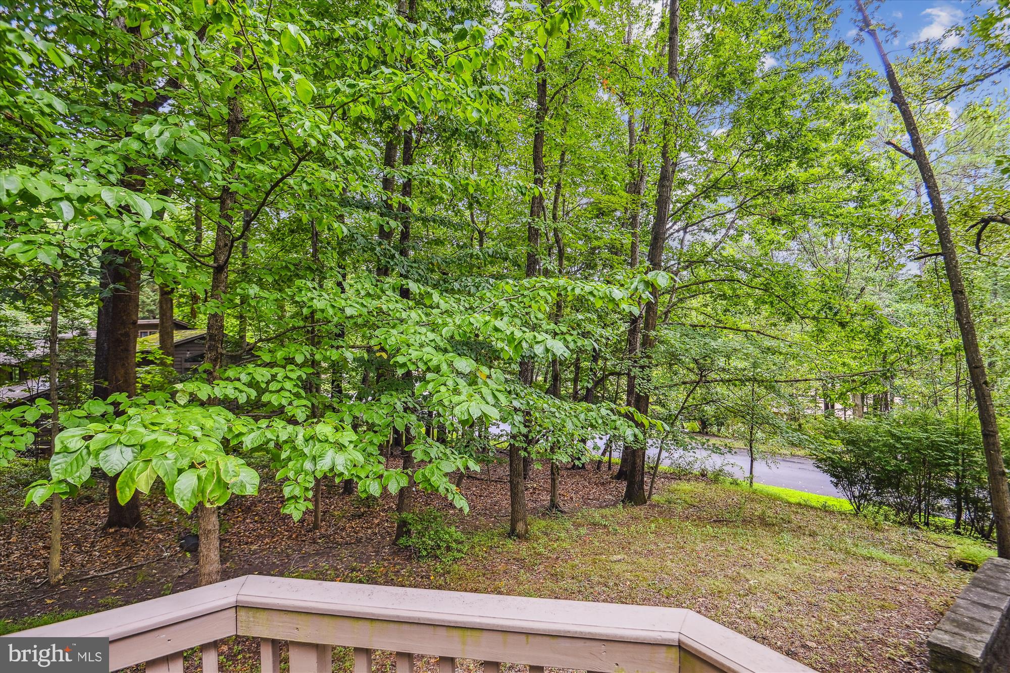 1411 Wolftrap Run Road Vienna, VA 22182 - Photo 18 of 48 Beautiful views from the private deck