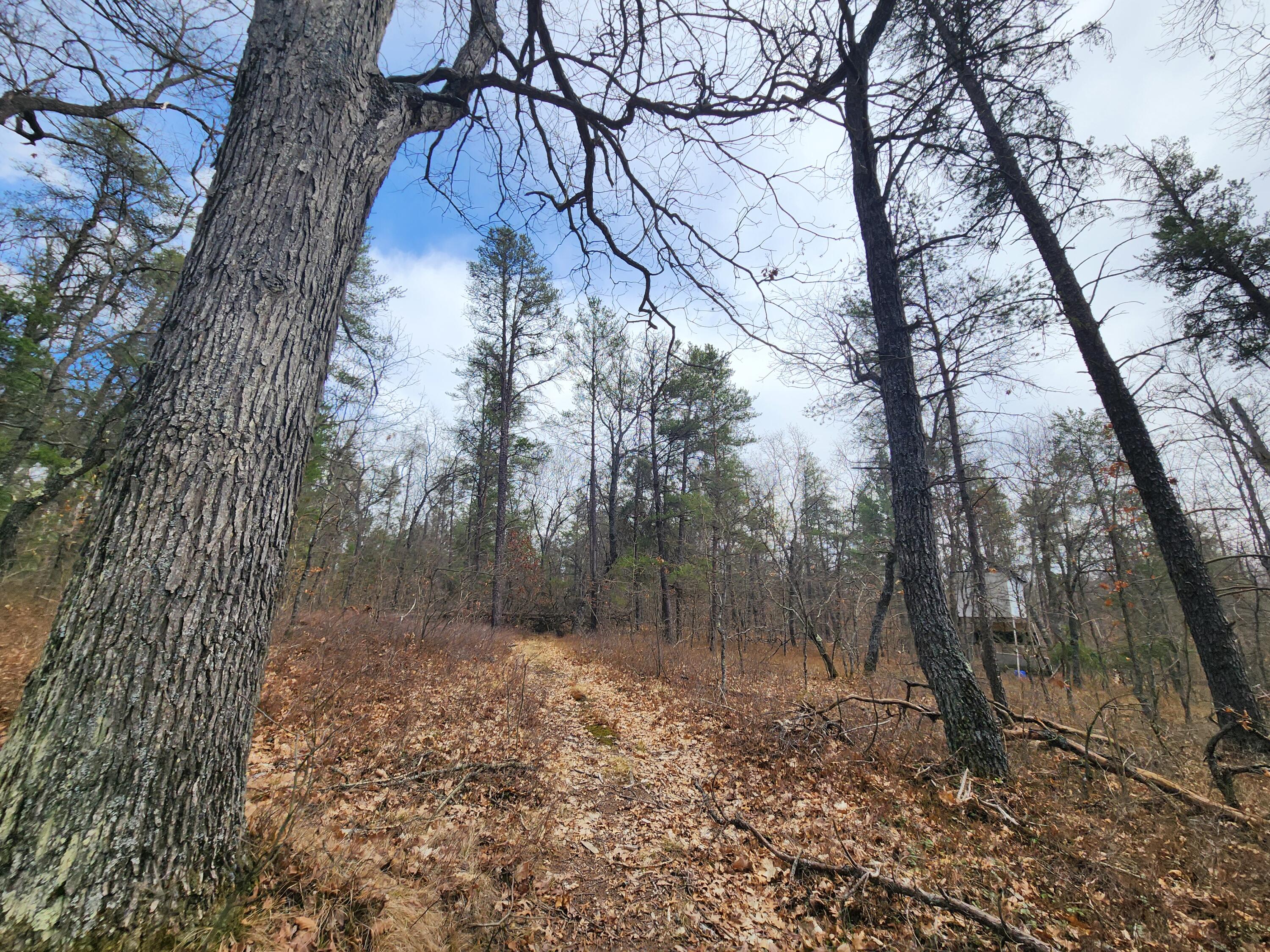 1531 Hardy Grade Road Curran, MI 48728 - Photo 26 of 42 Gallery Image 26