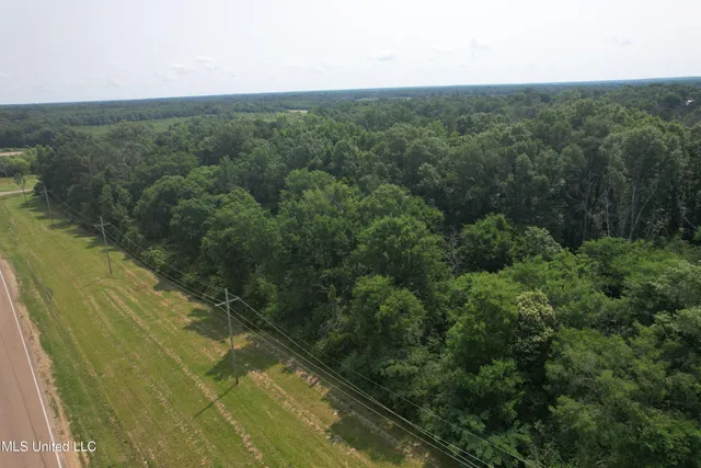 $1,650,000 | Us-51 Highway, Canton, MS 39046