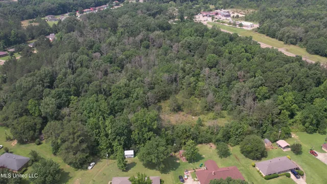 $1,650,000 | Us-51 Highway, Canton, MS 39046