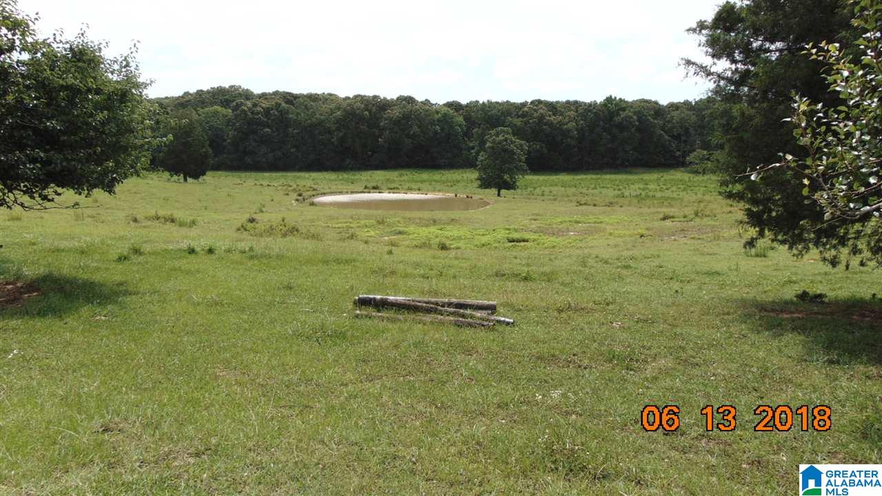 0 West Ashby Road Brierfield, AL 35035 - Photo 6 of 22