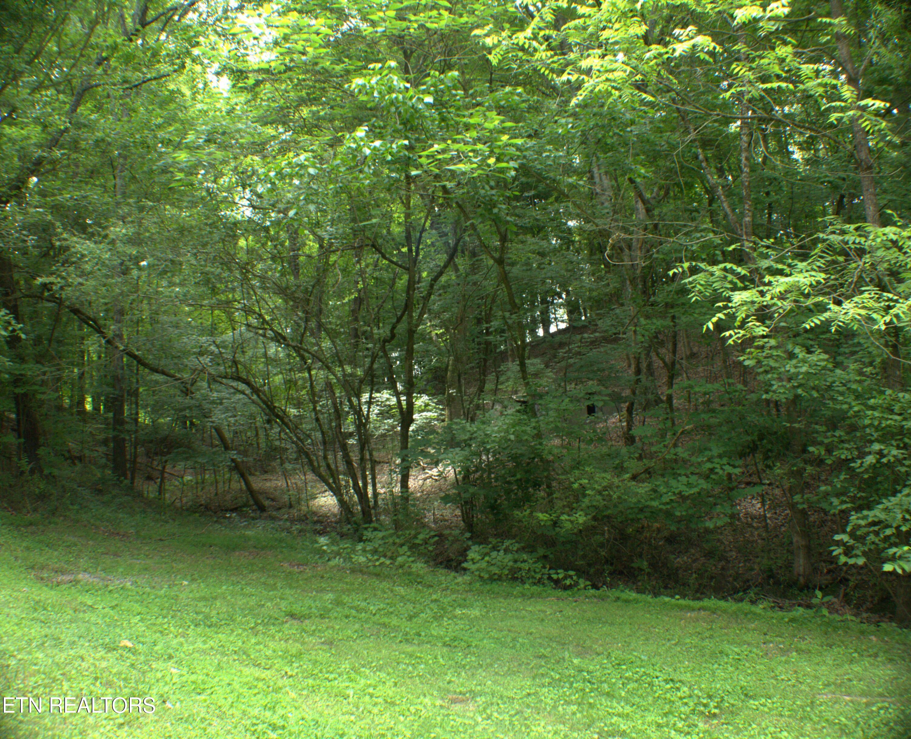 3654 Beth Carr Road White Pine, TN 37890 - Photo 26 of 30 Surrounded by mature trees