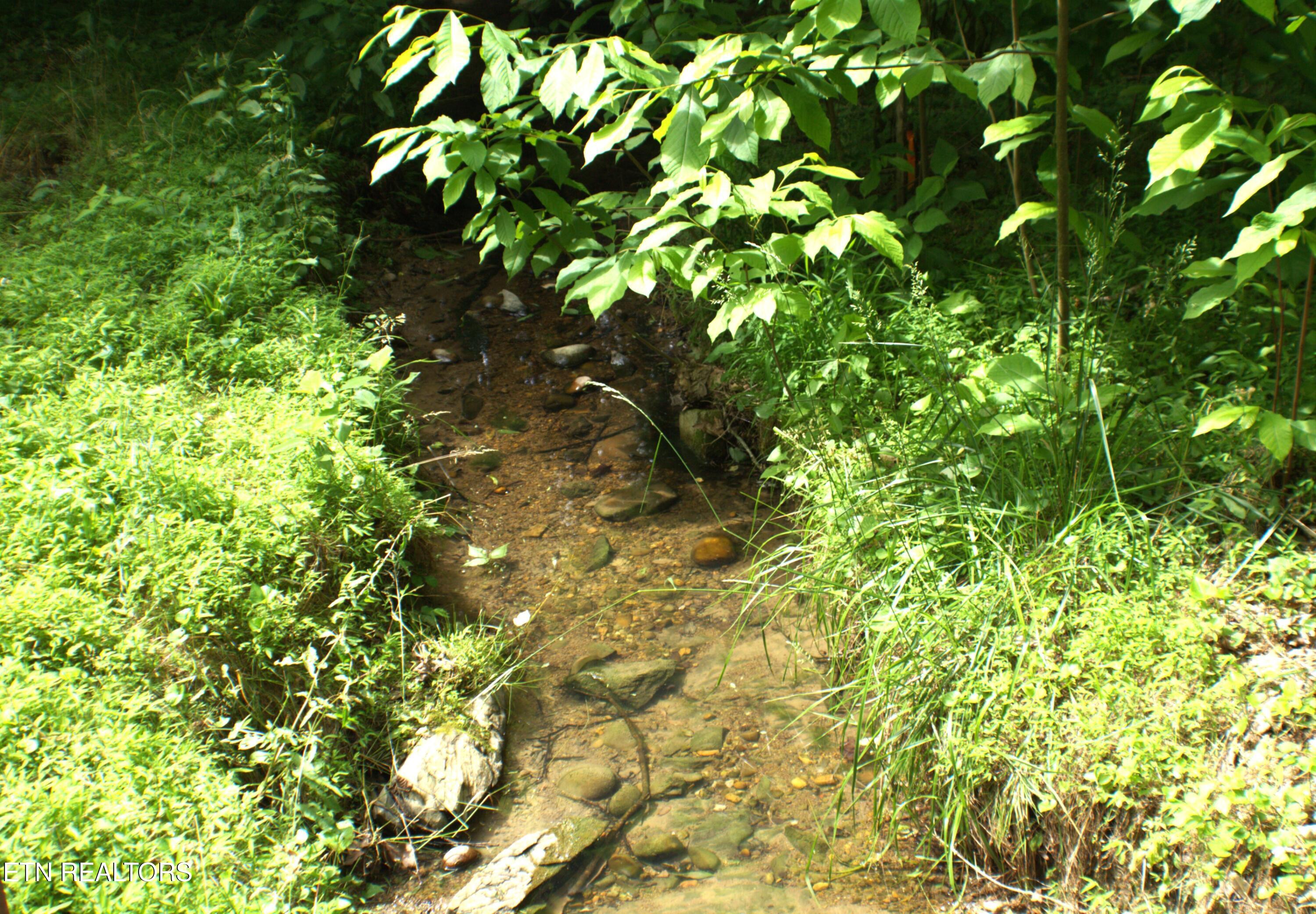 3654 Beth Carr Road White Pine, TN 37890 - Photo 27 of 30 Creek on property!