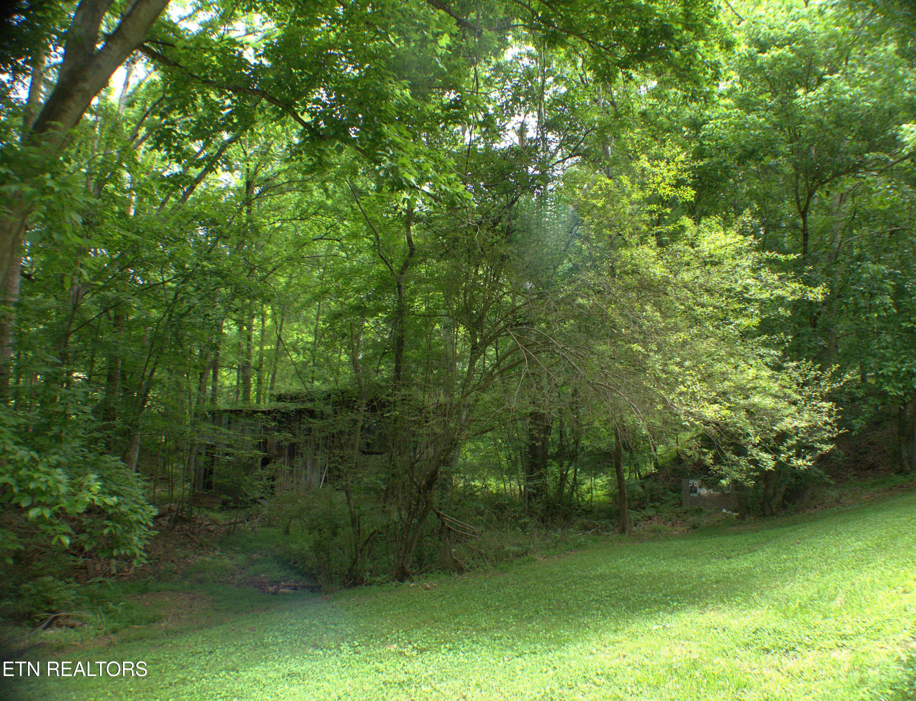 3654 Beth Carr Road White Pine, TN 37890 - Photo 28 of 30 Privacy Abounds!