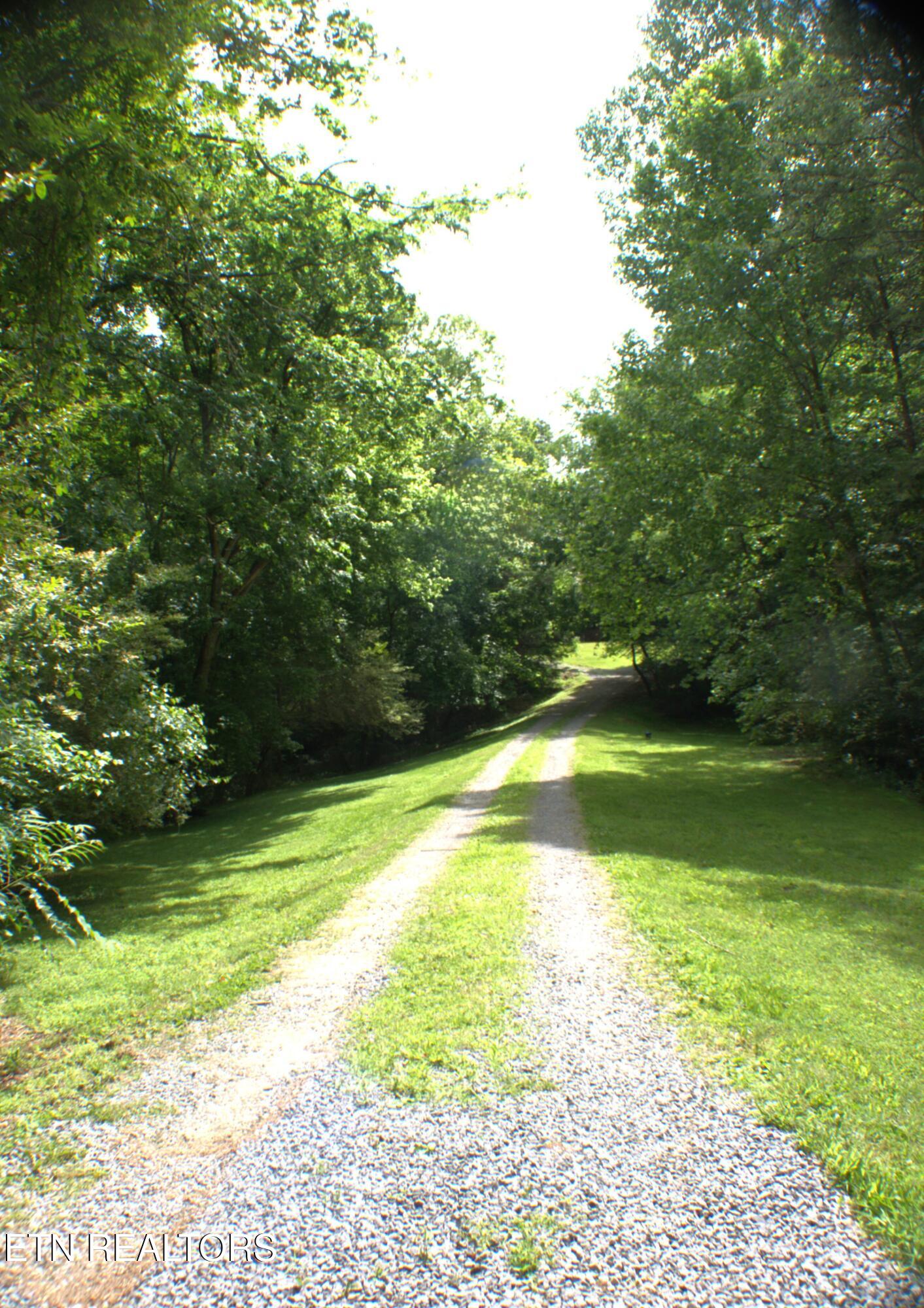 3654 Beth Carr Road White Pine, TN 37890 - Photo 29 of 30 View of driveway