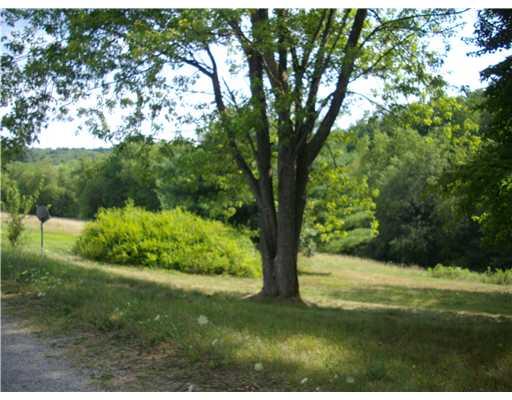 441 Branch Lane Apollo, PA 15613 - Photo 3 of 3 Yard/Garden.