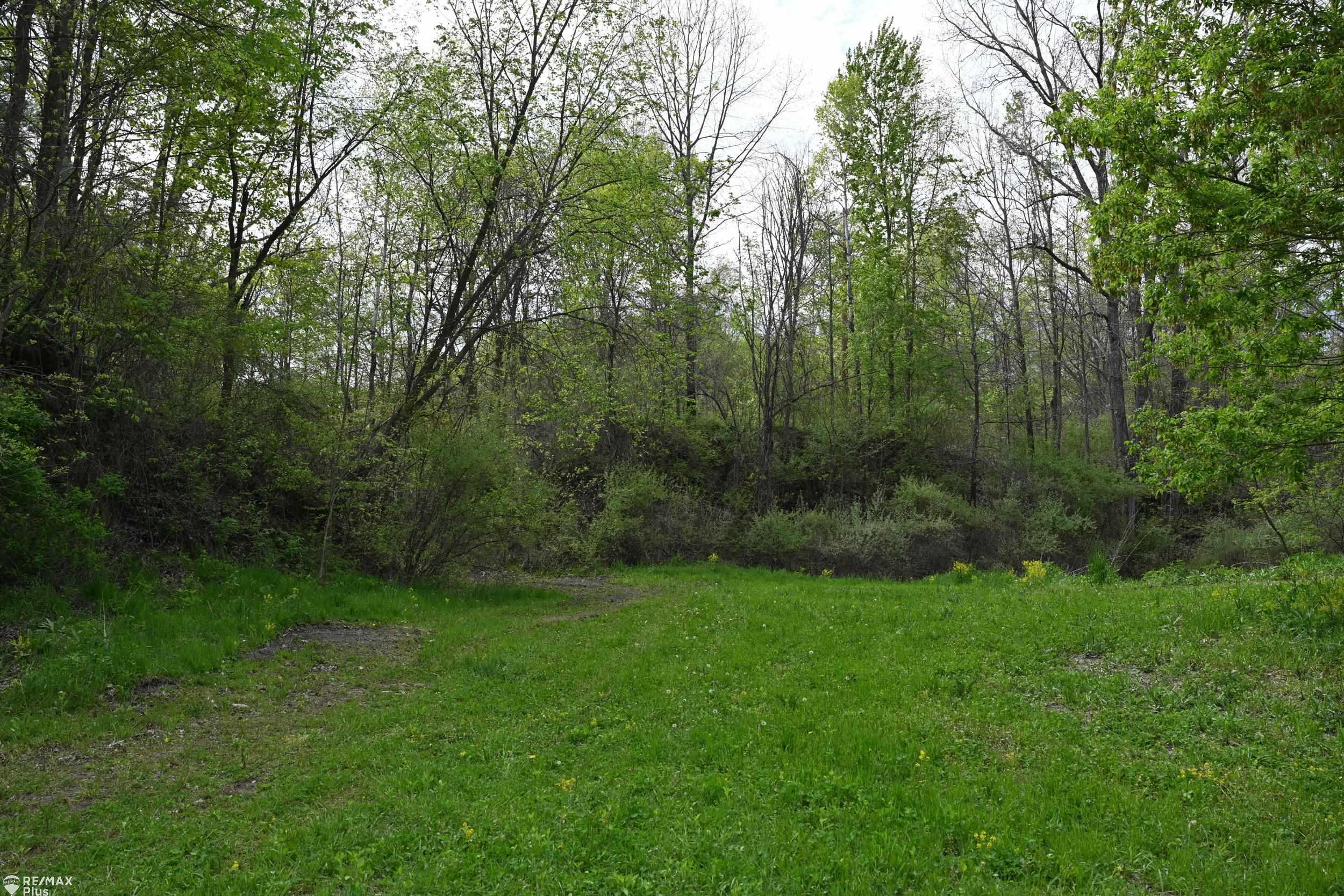0 Miller Lake Road Columbiaville, MI 48421 - Photo 6 of 33