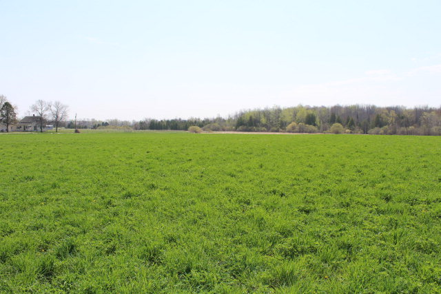 Settlement Road Sturgeon Bay, WI 54235 - Photo 1 of 1
