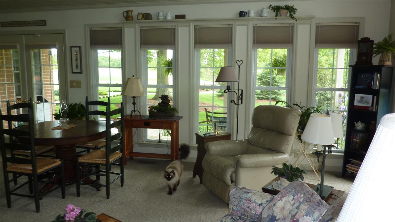 460 Wolf Ridge Road Bridgewater, VA 22812 - Photo 18 of 32 a living room with furniture and a floor to ceiling window