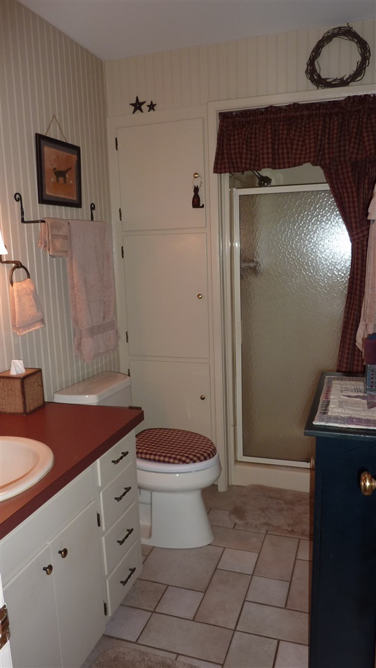 460 Wolf Ridge Road Bridgewater, VA 22812 - Photo 21 of 32 a bathroom with a granite countertop sink a toilet a mirror and shower