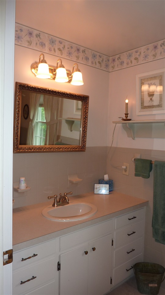460 Wolf Ridge Road Bridgewater, VA 22812 - Photo 25 of 32 a bathroom with a sink and a mirror