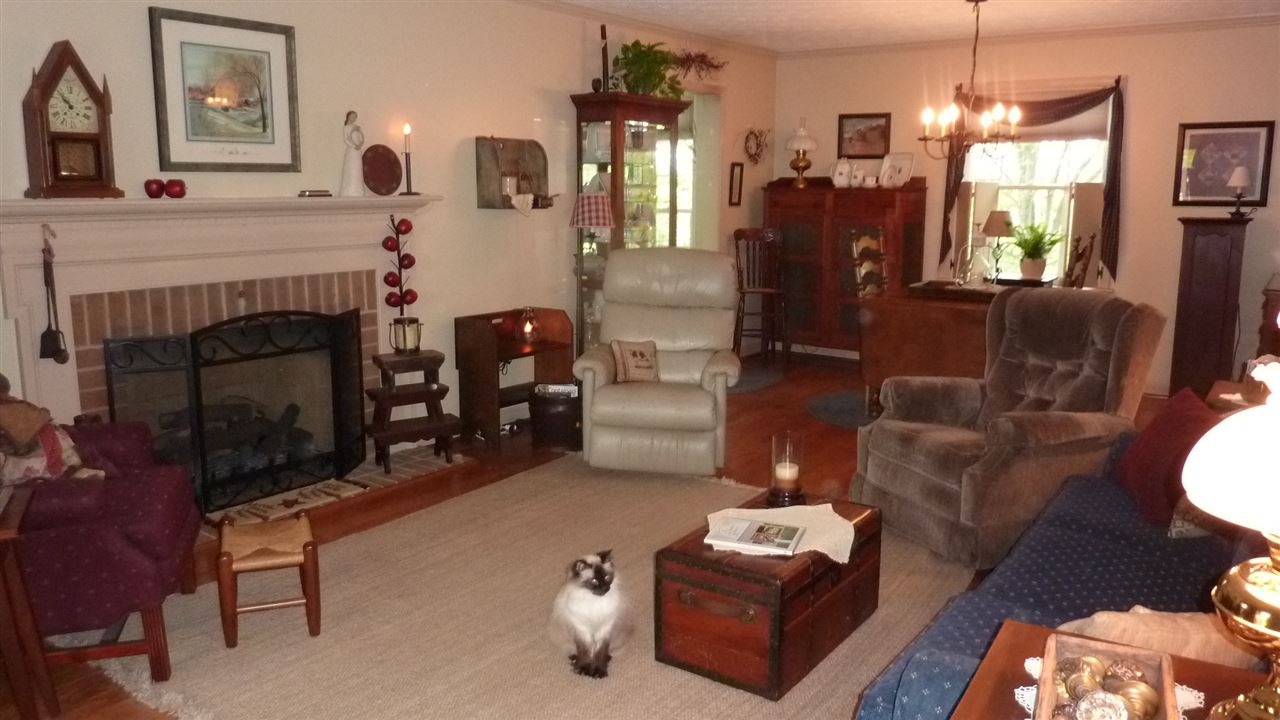 460 Wolf Ridge Road Bridgewater, VA 22812 - Photo 6 of 32 a living room with furniture and a fireplace