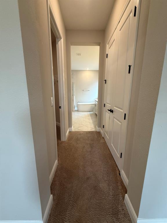 19071 Blueleaf Street Orlando, FL 32827 - Photo 16 of 27