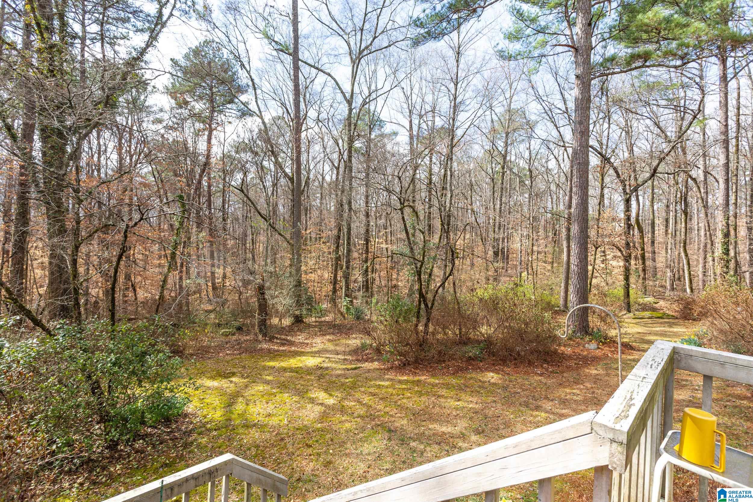 6500 Moss Rock Ridge Trussville, AL 35173 - Photo 30 of 37