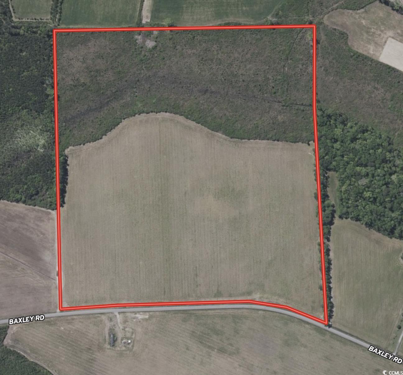 66.5-acres-tbd Baxley Road Hemingway, SC 29554 - Photo 21 of 21