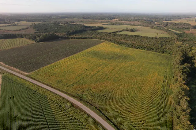 $332,430 | 66.5-acres-tbd Baxley Road, Hemingway, SC 29554