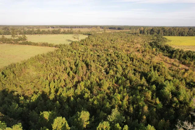 $332,430 | 66.5-acres-tbd Baxley Road, Hemingway, SC 29554