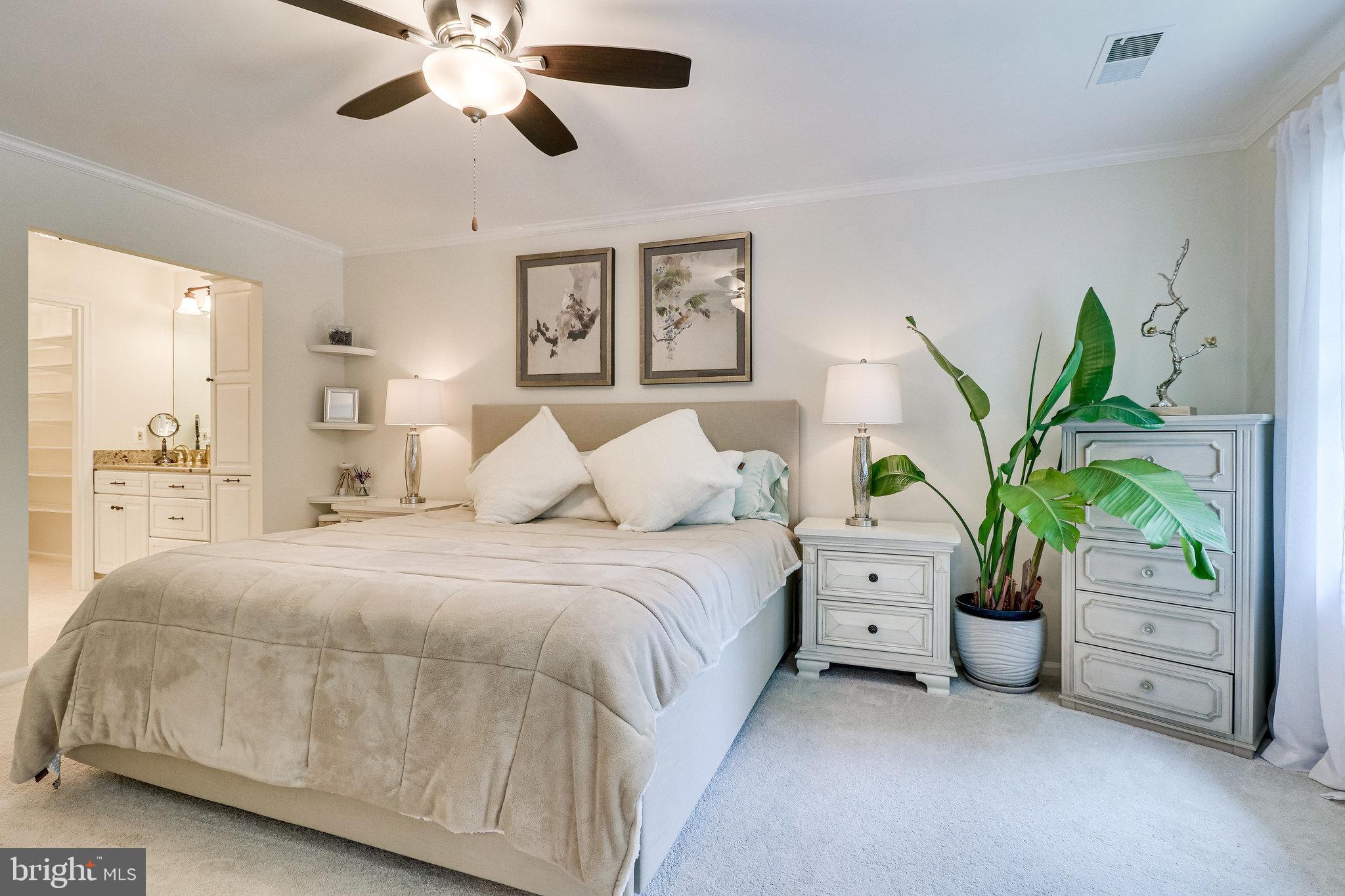 8406 Riverside Road Alexandria, VA 22308 - Photo 40 of 108