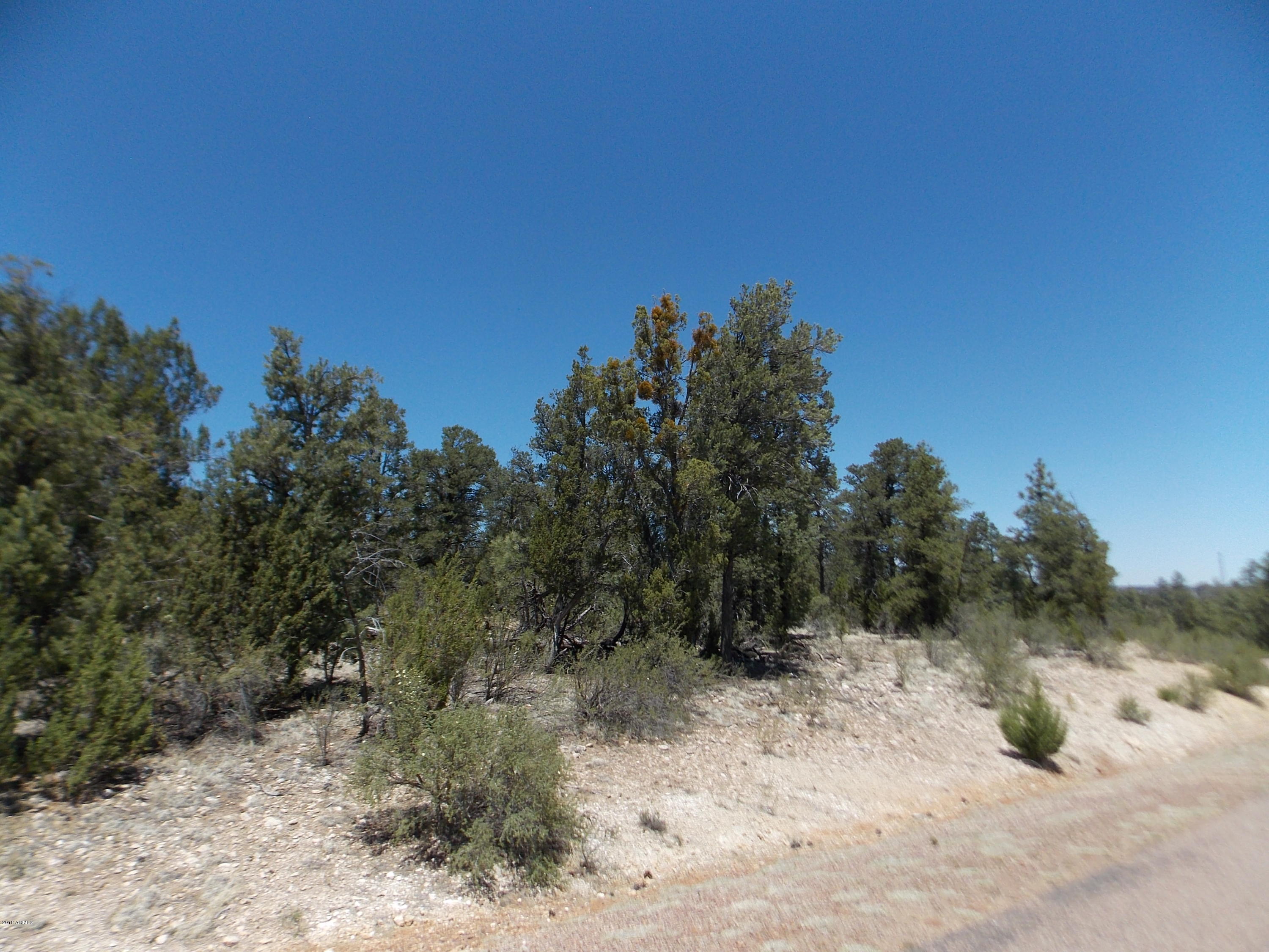3328 Sawmill Ridge Loop, Unit 118 Heber, AZ 85928 - Photo 6 of 7 DSCN9751