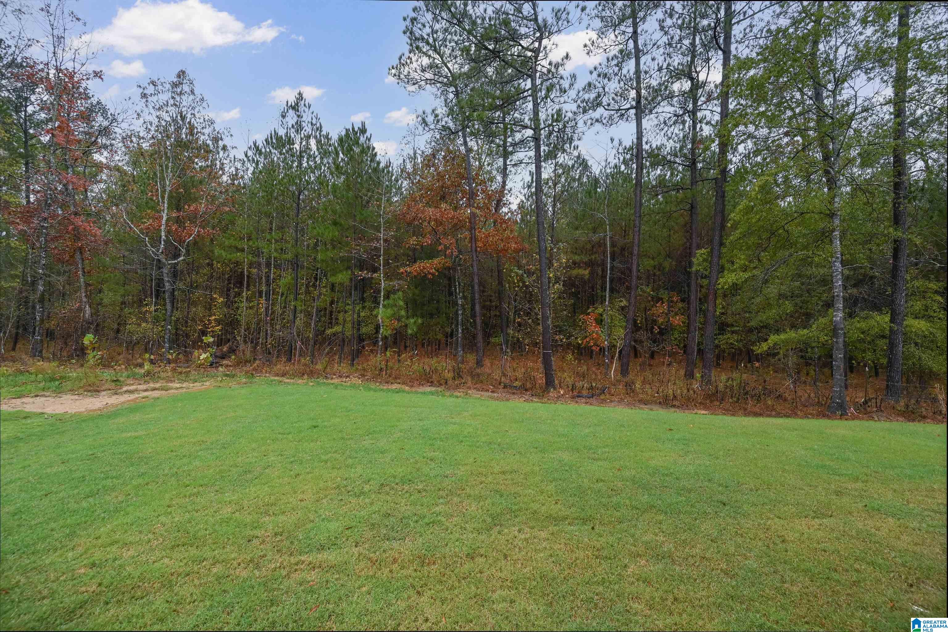 3085 Baxter Avenue Springville, AL 35146 - Photo 39 of 39