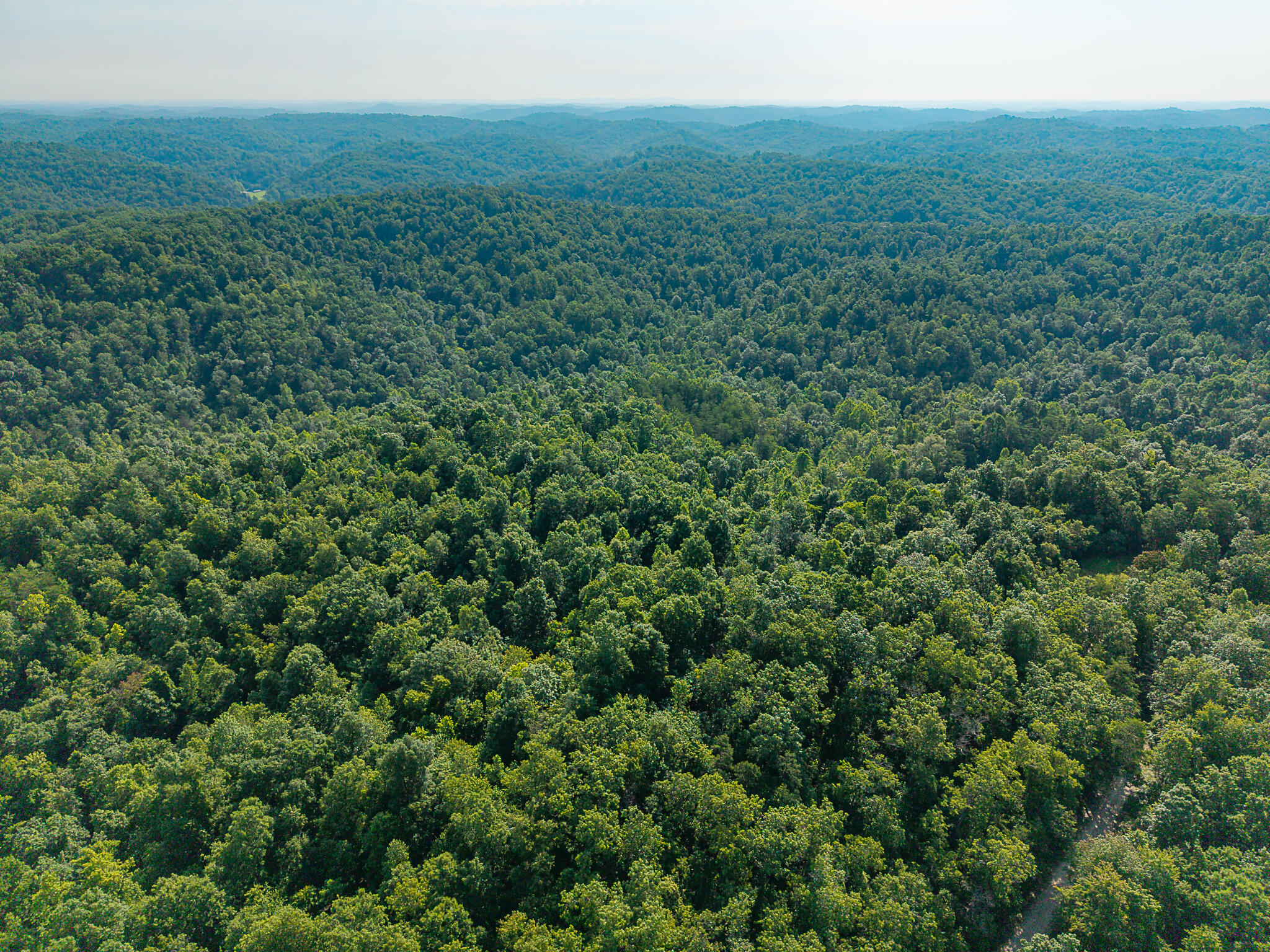 700 Clay Camp Road Hitchins, KY 41146 - Photo 54 of 108 Aerial of Property