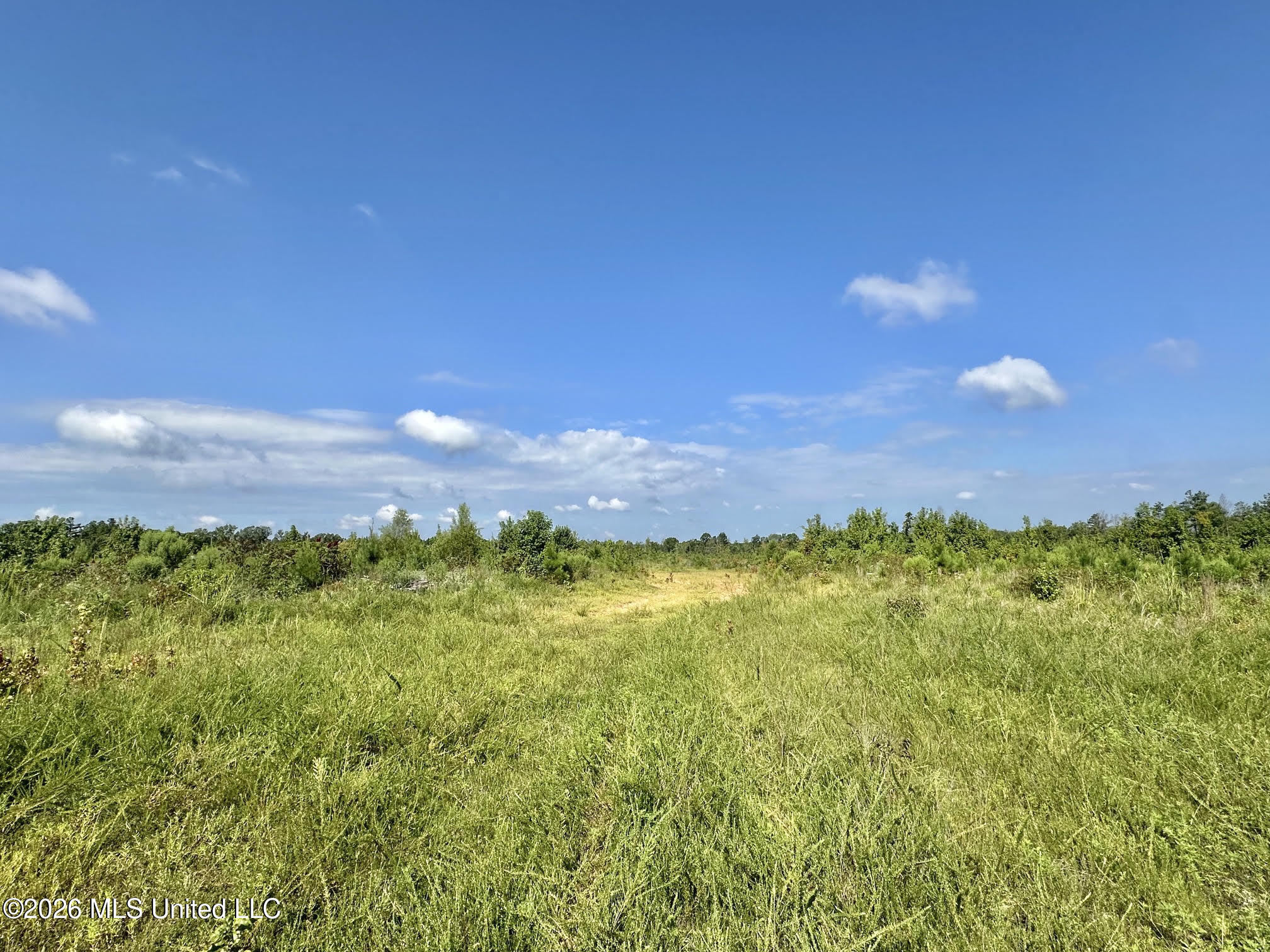 5 Will Womack Road Mantee, MS 39751 - Photo 2 of 11 8