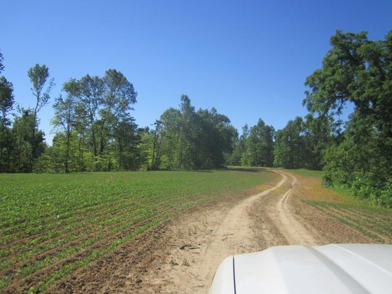 0 Dry Hill Road Ripley, TN 38063 - Photo 6 of 13