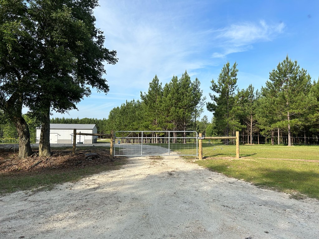 3876 D D Hodge Road Cottonwood, AL 36320 - Photo 3 of 48