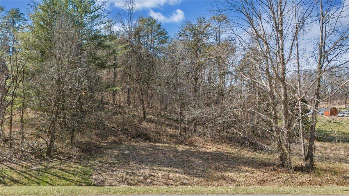 0 Woodridge Road Troutville, VA 24175 - Photo 8 of 25 a view of a yard