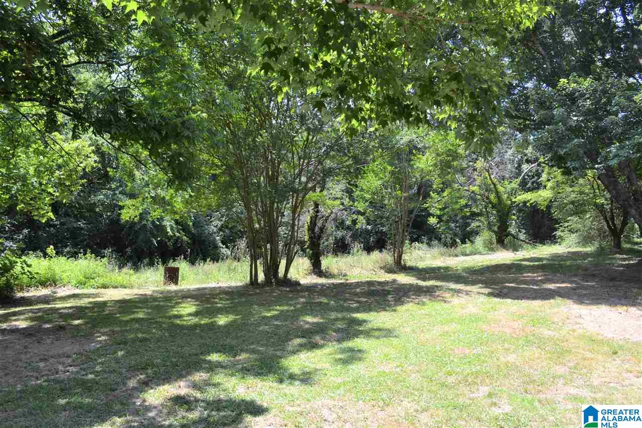 4231 Hopper Road Altoona, AL 35952 - Photo 37 of 39