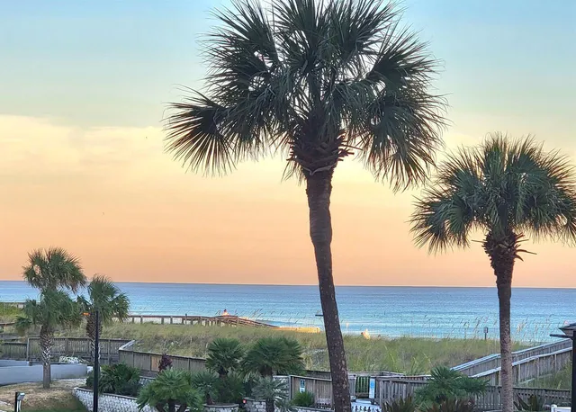 a view of ocean with palm trees