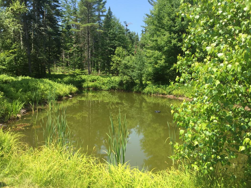 1422 River Road Lunenburg, VT 05906 - Photo 33 of 37