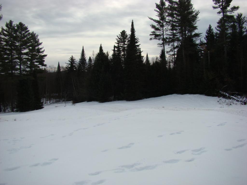 1422 River Road Lunenburg, VT 05906 - Photo 37 of 37