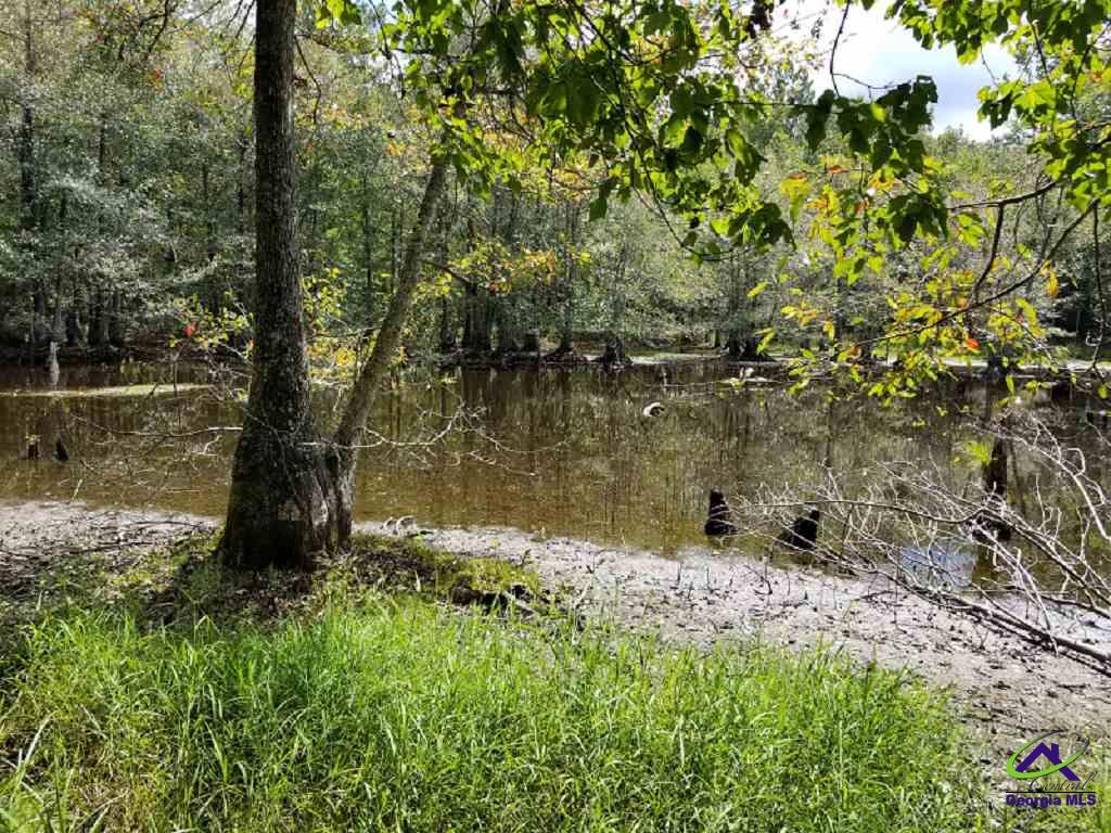 0 Suggs Mill Butler, GA 31006 - Photo 1 of 1