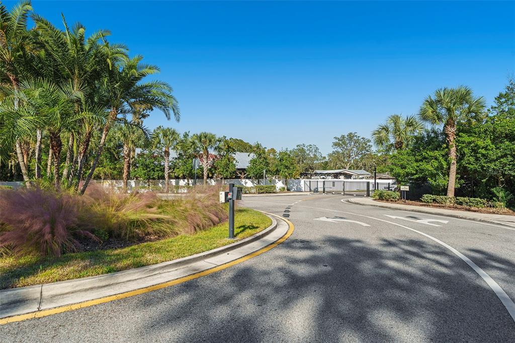 10903 Honor Road Tampa, FL 33625 - Photo 34 of 36 a view of a swimming pool with a patio