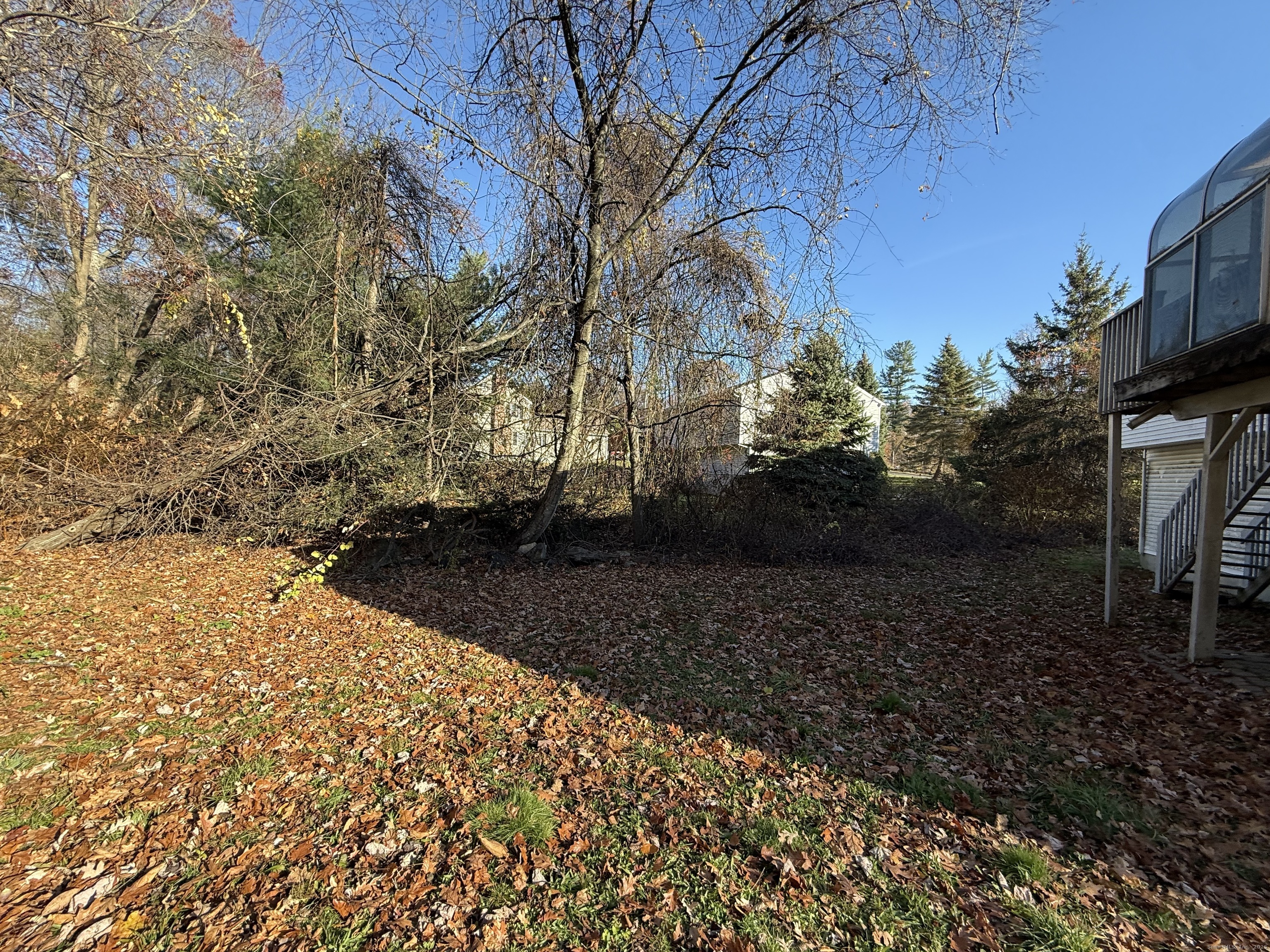 18 Ridgebury Drive Trumbull, CT 06611 - Photo 21 of 21 a view of a yard with plants and trees