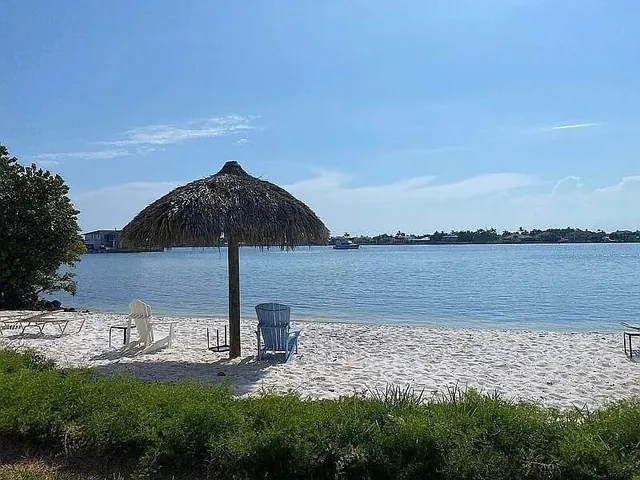 a view of a lake with a yard and large trees