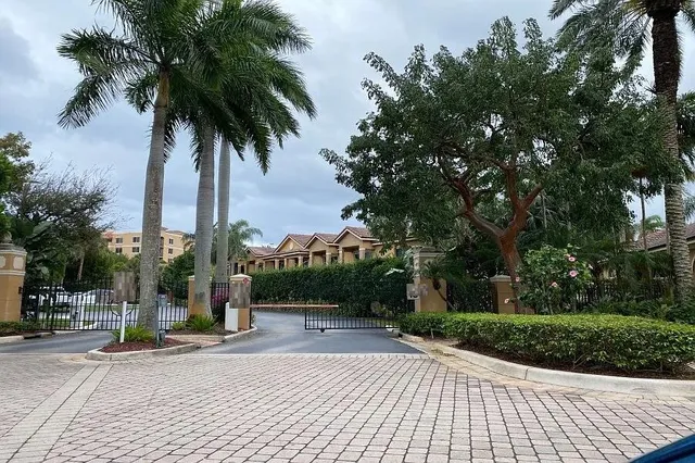 a view of a park with palm trees