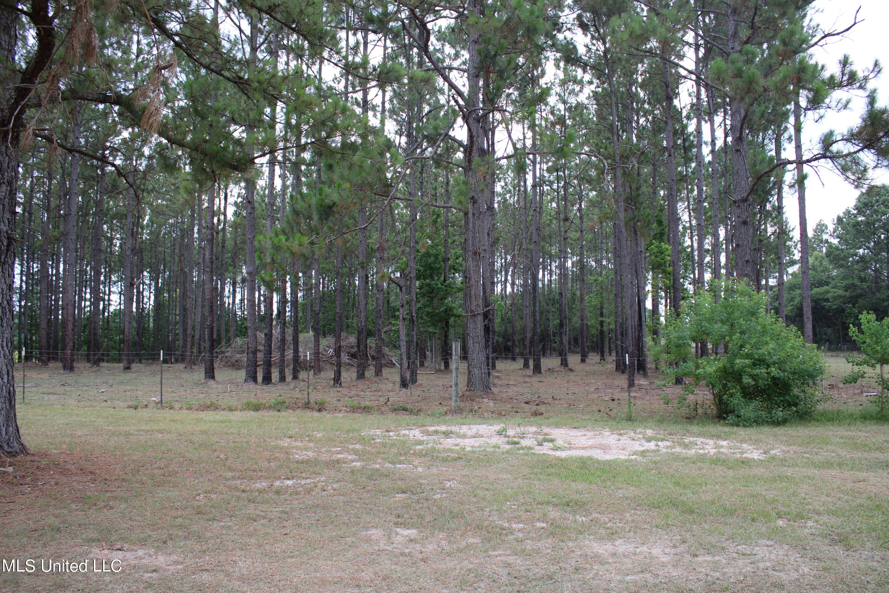 566 Slade Woodward Road Poplarville, MS 39470 - Photo 12 of 36 IMG_0261
