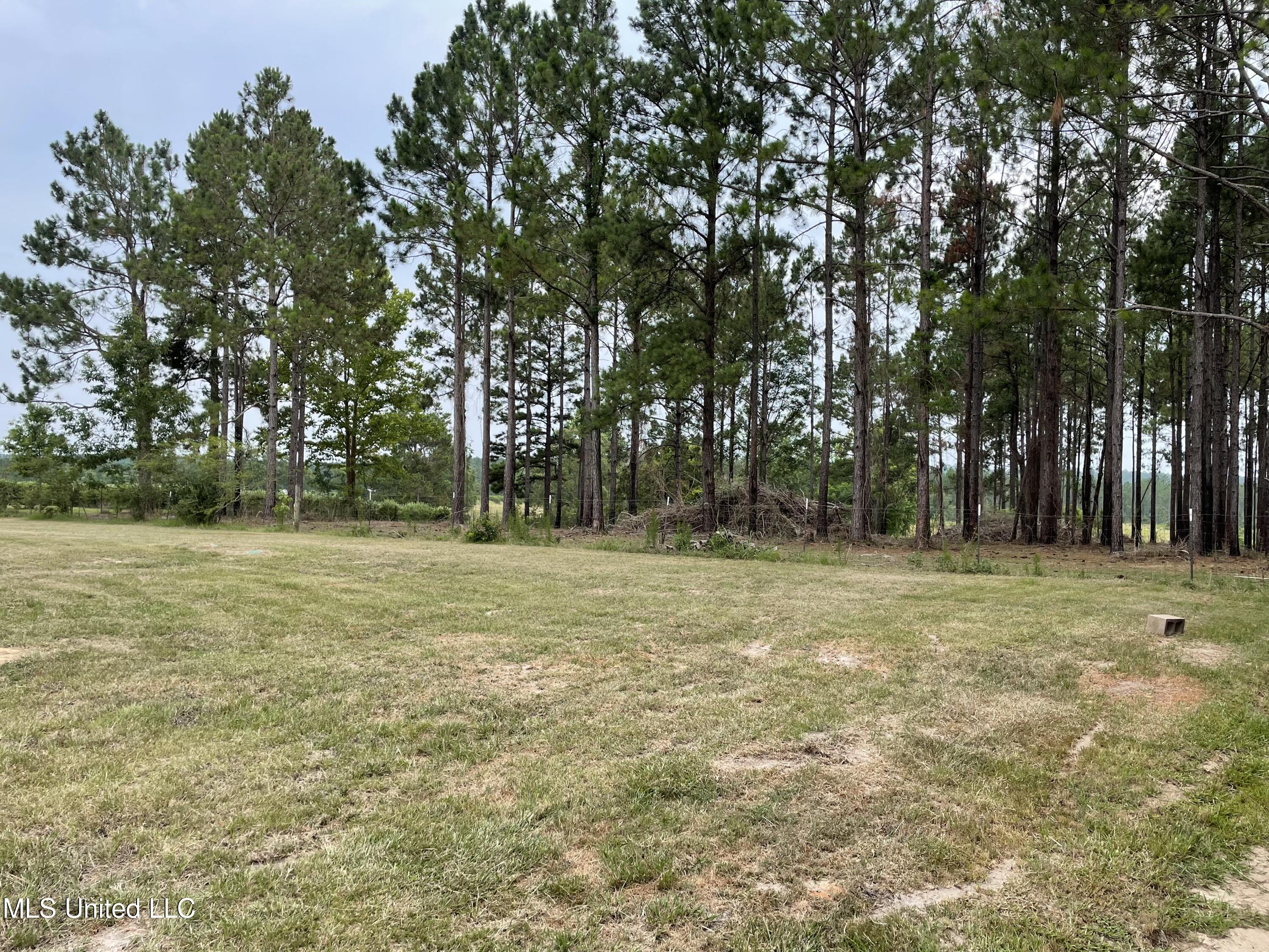 566 Slade Woodward Road Poplarville, MS 39470 - Photo 15 of 36 IMG_5004