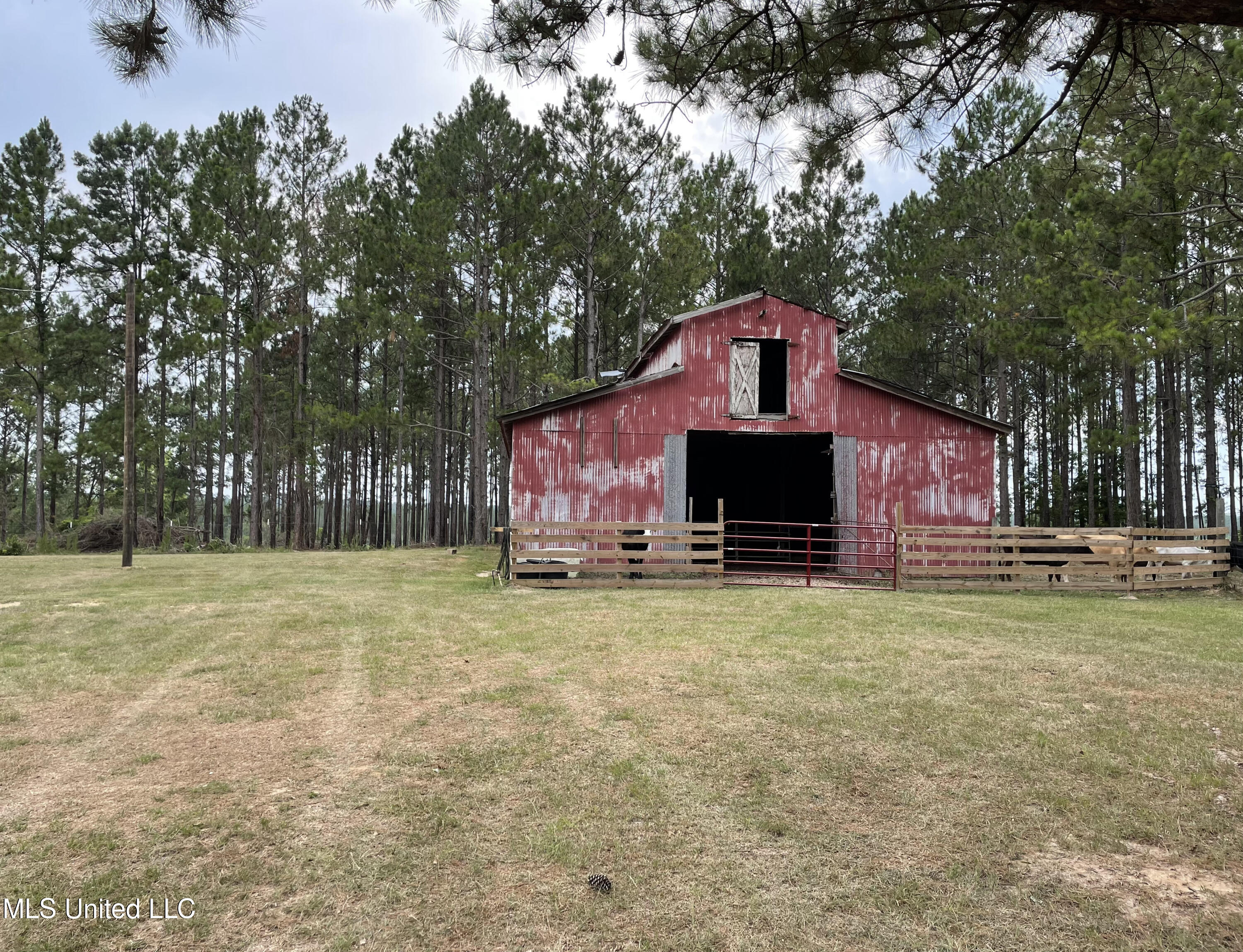 566 Slade Woodward Road Poplarville, MS 39470 - Photo 6 of 36 IMG_5003