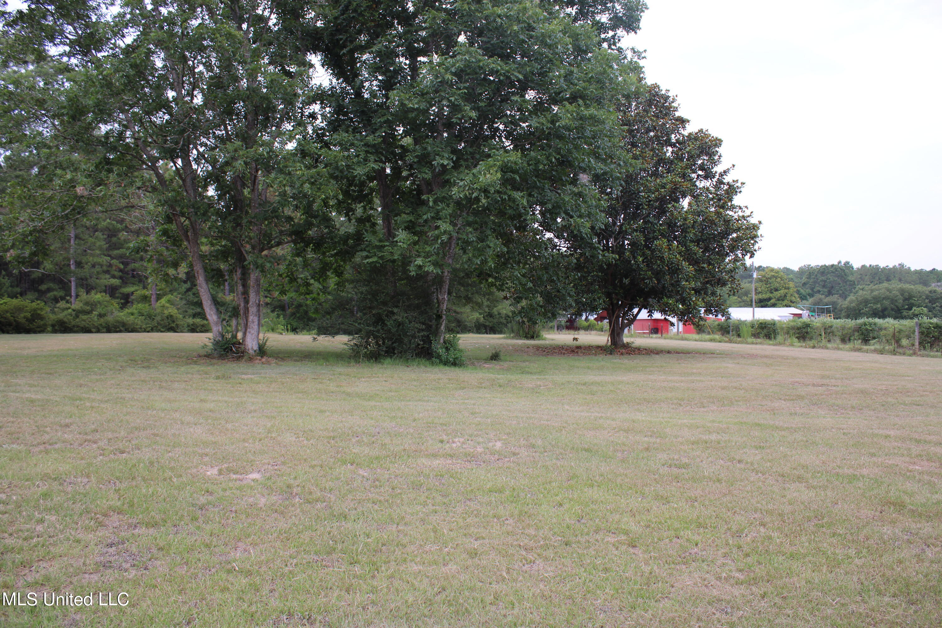 566 Slade Woodward Road Poplarville, MS 39470 - Photo 9 of 36 IMG_0258