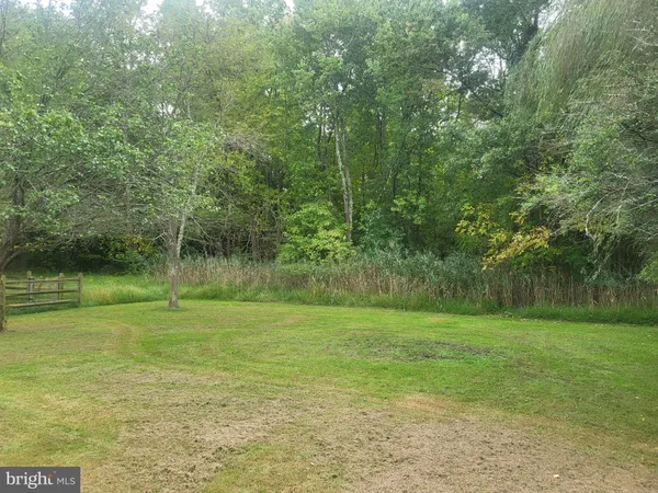 a view of a field with a trees in the background